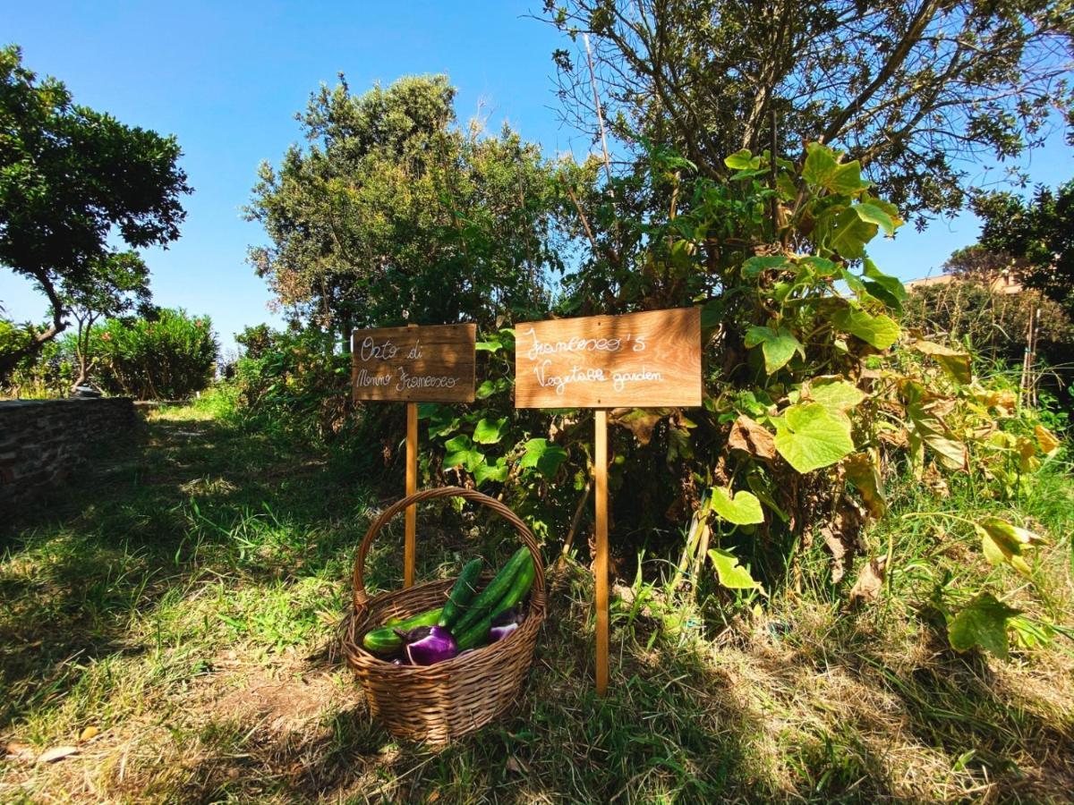 Villa Patrizia Stintino Bagian luar foto