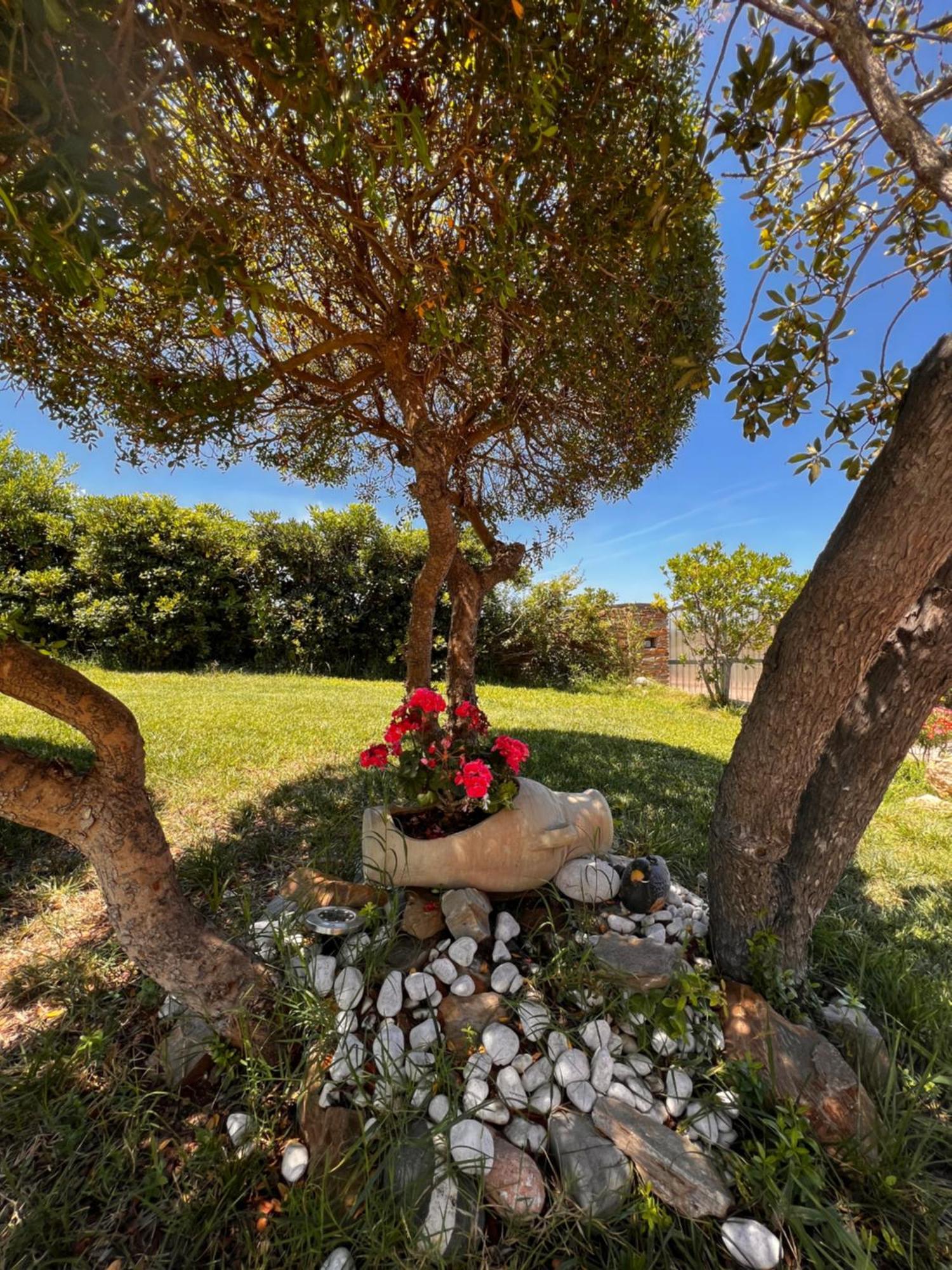 Villa Patrizia Stintino Bagian luar foto